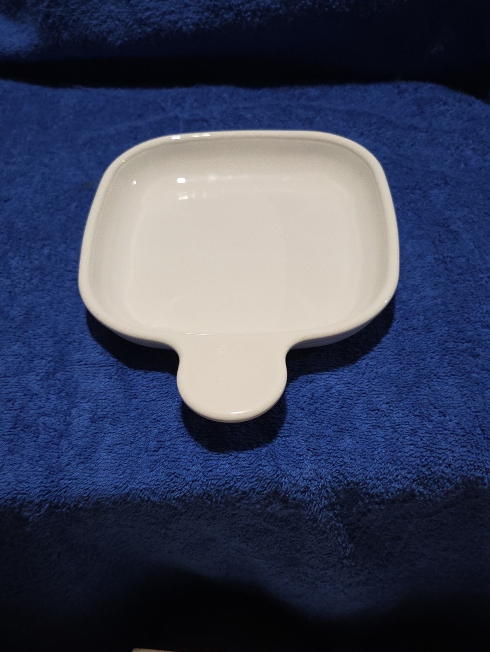 Grab It Dish